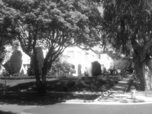 Neighborhood Watch - 2