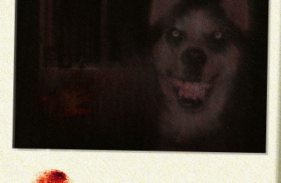 smile dog archives creepypasta