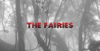 The Fairies