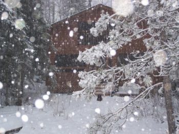 Where The Snow Isn't Cold