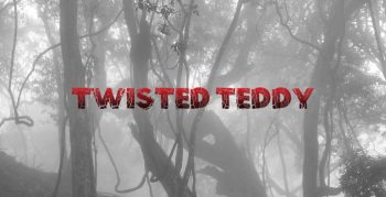 Twisted Teddy