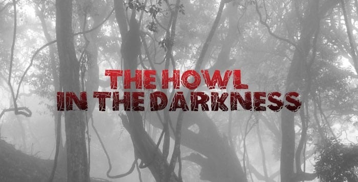 The Howl in the Darkness