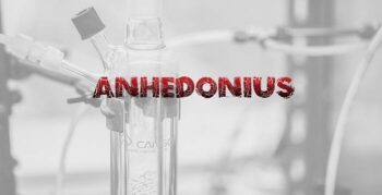 Anhedonius