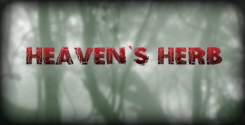Heaven's Herb