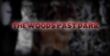 The Woods Past Dark