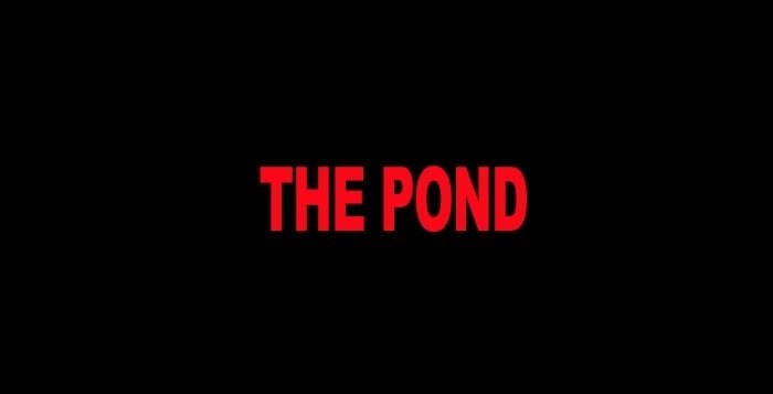 The Pond