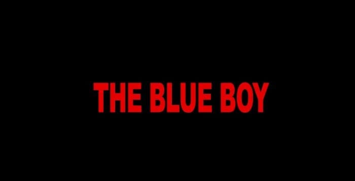 the blue boy