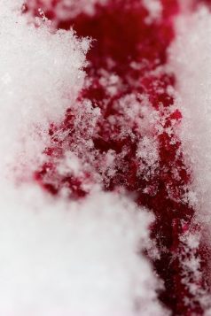 white out creepypasta