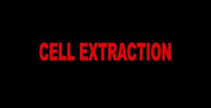 Cell Extraction