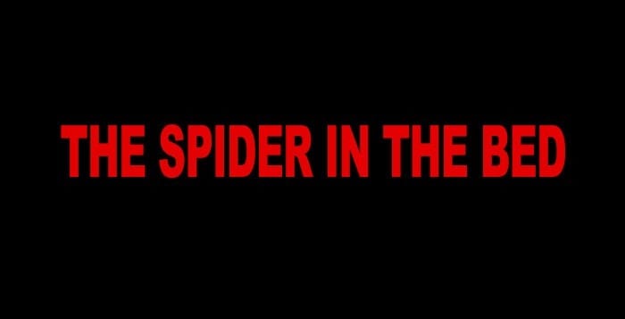 The Spider in the Bed