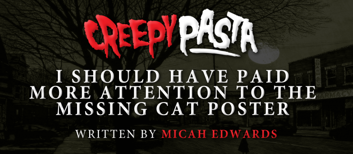 I Should Have Paid More Attention to the "Missing Cat" Poster