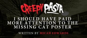 I Should Have Paid More Attention to the "Missing Cat" Poster