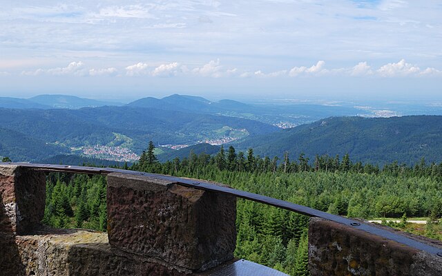 Black Forest
