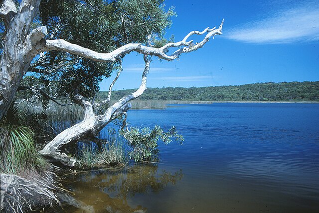 Fraser Island, Queensland