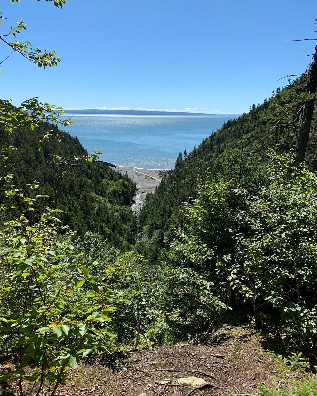 Floresta da trilha de Fundy, Nova Brunswick