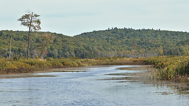 Parque Gatineau, Quebec