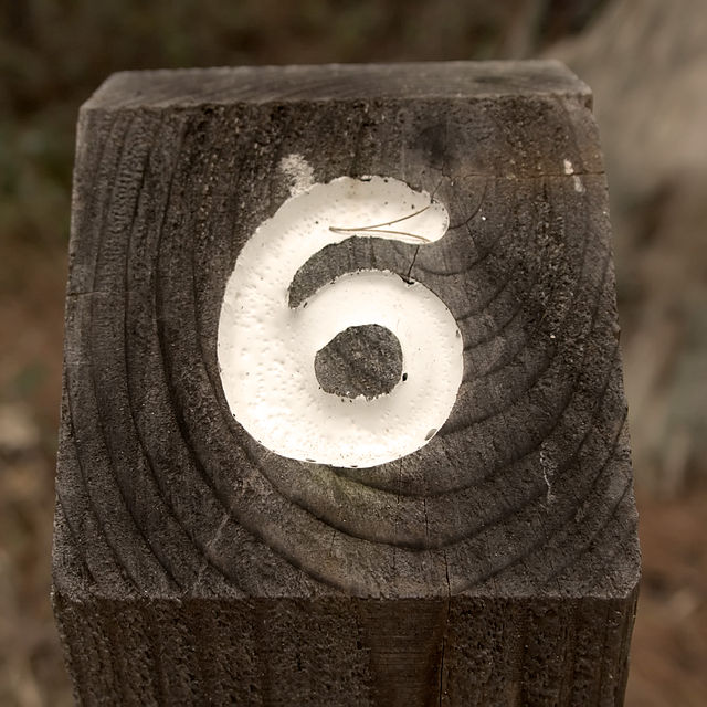 Number 6