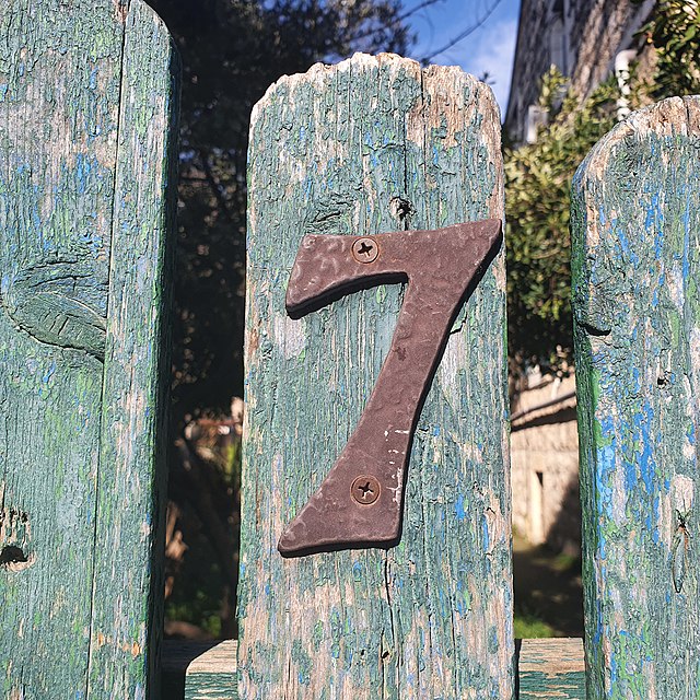 Number 7
