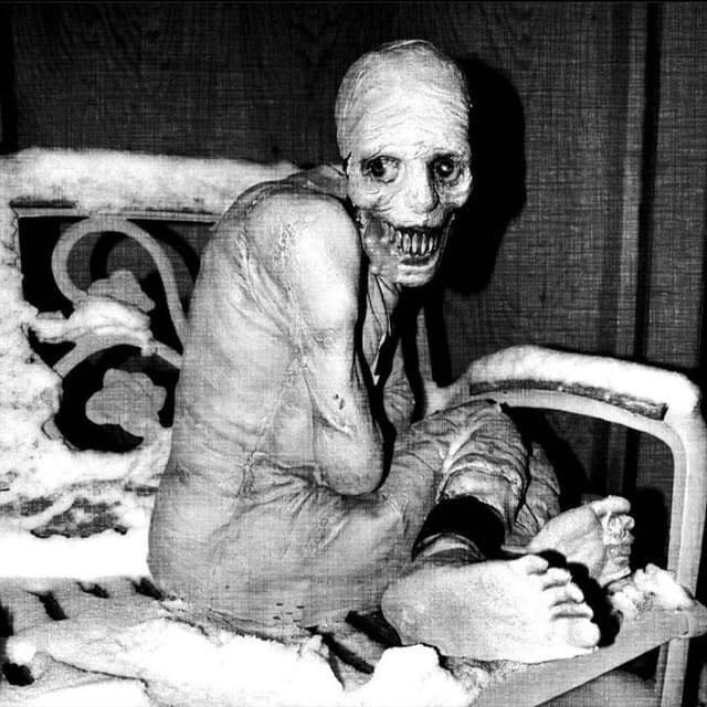 Russian Sleep Experiment Image