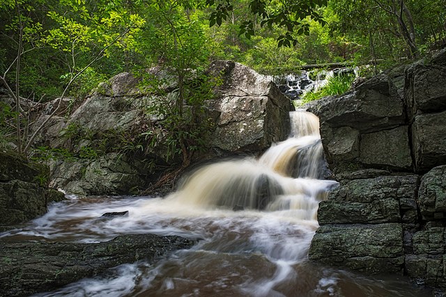Slaughter Falls, Mount Coot-Tha Forest, Austrália