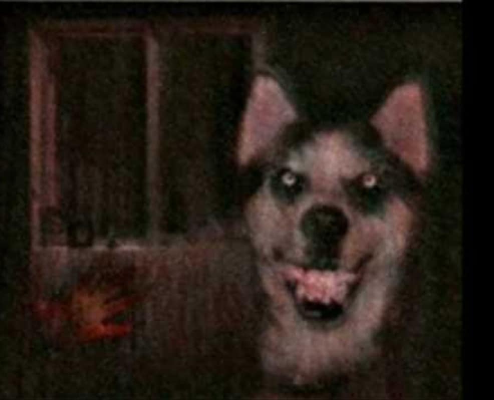 Smile Dog