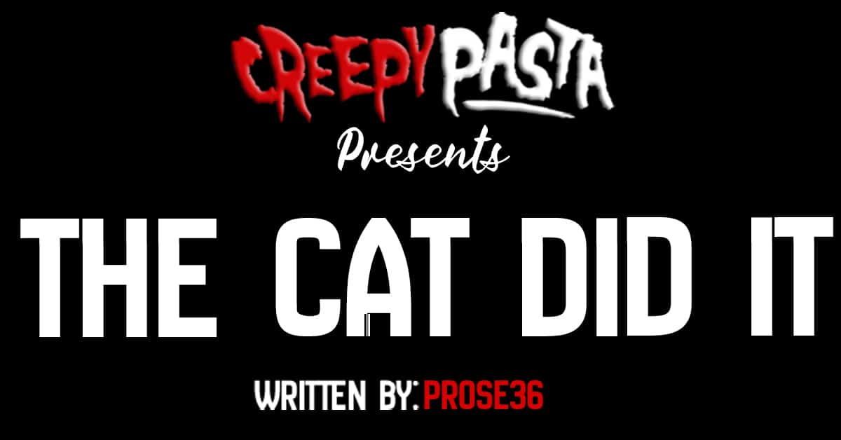 The cat did it