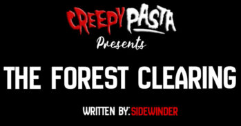 The forest clearing