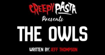 The Owls