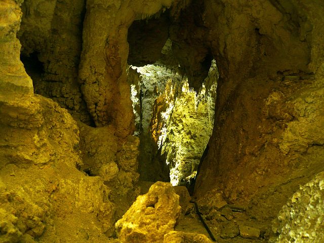 Cavernas de Waitomo, Waitomo