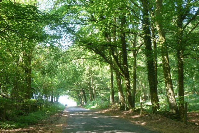 Wychwood Forest, Oxfordshire, Inglaterra