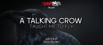 A Talking Crow Taught Me to Fly